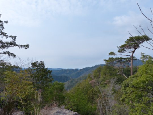 画像9